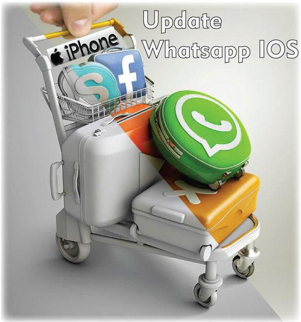 How to Update MbWhatsapp 2024 on iPhone? (Quick & Simple)